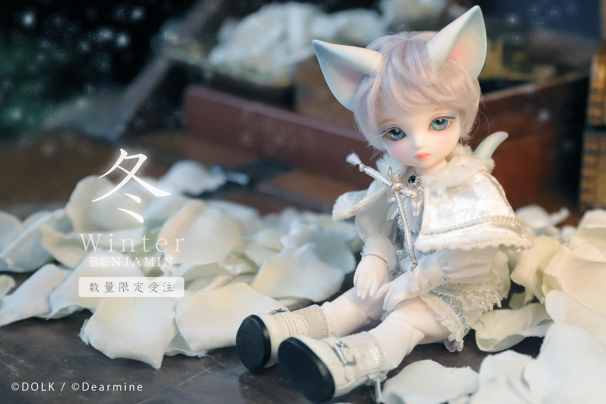【DOLK×DEAR MINE】BENJAMIN Snow Crystal Limited - 高価買取